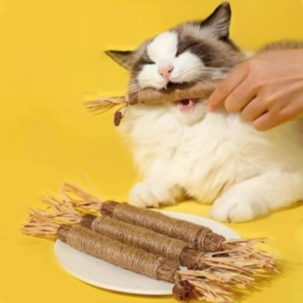 Petyns - Cat Chew & Clean Stick