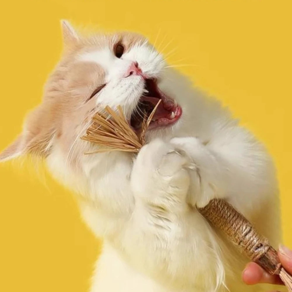 Petyns - Cat Chew & Clean Stick